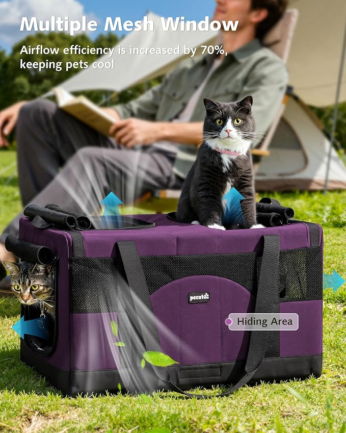 Pecute Cat Carrier, Soft Double Pet Crate for 2 Cats Travel, Purple | Anti-Collapse Steel Frame, Convertible Dual Space, Foldable, Polyester Breathable mesh, Up to 26 lbs, Car Travel & Vet Visits