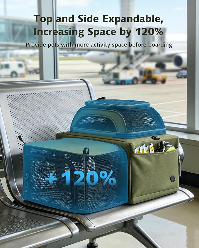 Pecute Top Expandable Airline Approved Pet Carrier for Cats, Olive Green | Airline Approved Dog Carrier, Under-seat, Breathable, Anti-scratch Mesh, Safety Leash, Locking Zippers, Leakproof Pee Pad