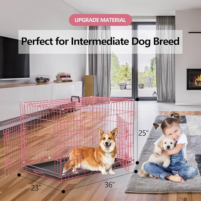 Foldable 36" Dog Crate - Double Door Metal Kennel with Leak-Proof Tray/Divider, Portable & Collapsible for Medium Dogs Indoor