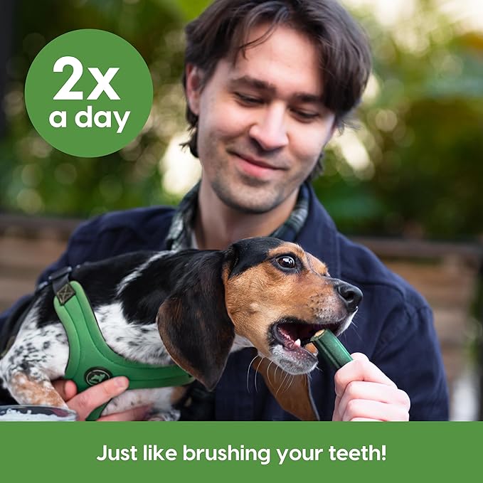 Ark Naturals Brushless Toothpaste,Dog Dental Chews for Small Breeds,Freshens Breath,Helps Reduce Plaque & Tartar,12oz,(Pack of 6)