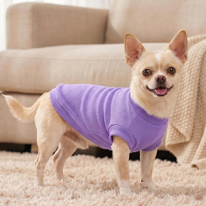 2 Pack Dog Shirt for Small Supplies Functional Waffle Dog Clothes Warm Soft Sweatshirt Outfit for Dogs Cats Pet Apparel