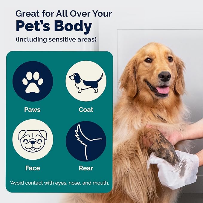 Vetnique DermaBliss Pet Wipes for Dogs & Cats for Grooming, Cleansing & Deodorizing, Thick Dog Wipes for Convenient Dog Cleaning and Natural Pet Odor Eliminator, 100ct (Refreshing Scent)