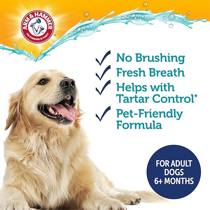 Arm & Hammer Dog Dental Water Additive Breath Freshener, Odorless Flavorless Oral Care Solution for Plaque and Tartar Control, Daily No Brush Dental Support for Dogs, 16 Fl Oz - 3 Pack