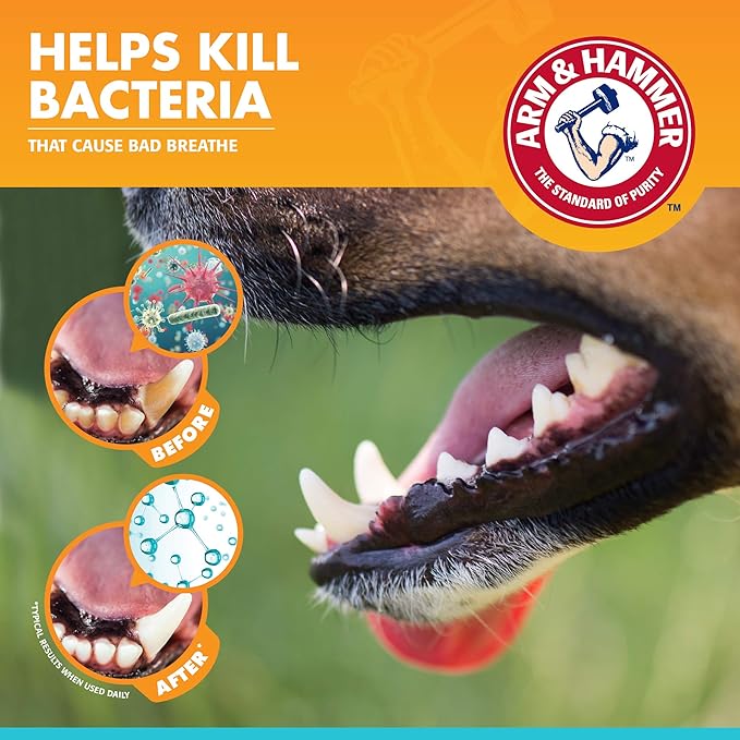 Arm & Hammer for Pets Fresh Breath Enzymatic Dog Dental Care Kit, Dog Toothpaste Kit with Toothbrush and Finger Brush for Tartar Control and Oral Hygiene, Chicken Flavor, 2.5 oz, 3-Piece Kit - 48 Pack