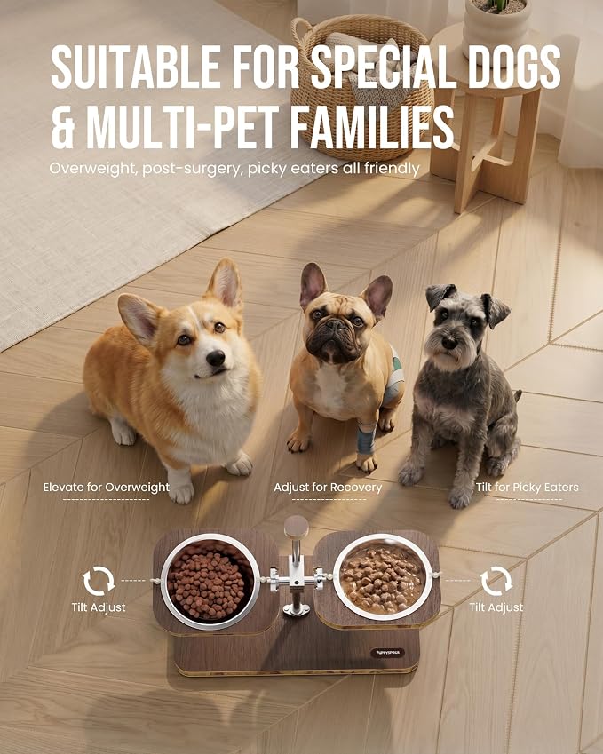 Puppyspout Elevated Dog Bowls, Adjustable Height & Tilt Bowl Stand | 2x16oz 304 food-grade bowls, independent tilt, FSC-Certified Wood non-slip wood base for cats, puppies & small to medium dogs