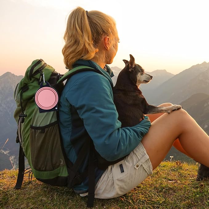 SLSON Collapsible Dog Dual Bowls Reinforced Rim 180 Degrees Flip Over Foldable Double Bowl with Lock Clips More Stable Dog Travel Bowls Pet Food Water Feeder (Light Pink)