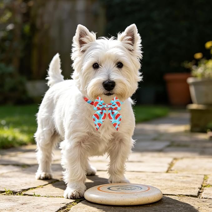PET SHOW 10 Pack Sailor Dog Bowties Daily for Small Dogs