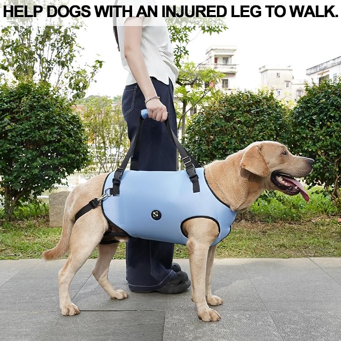 Coodeo Dog Lift Harness, Pet Support & Rehabilitation Sling Lift Adjustable Padded Breathable Straps for Old, Disabled, Joint Injuries, Arthritis, Loss of Stability Dogs Walk (Blue, 2XL)