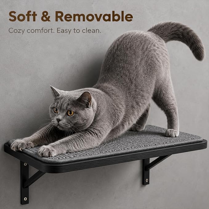 Cat Wall Shelves Set of 2, Black Solid Wood Cat Window Perch with Grey Sisal Cushion, Wall-Mounted Space-Saving Climbing Bed, Lounging Shelf for Kittens & Cats, Black Furniture for Indoor