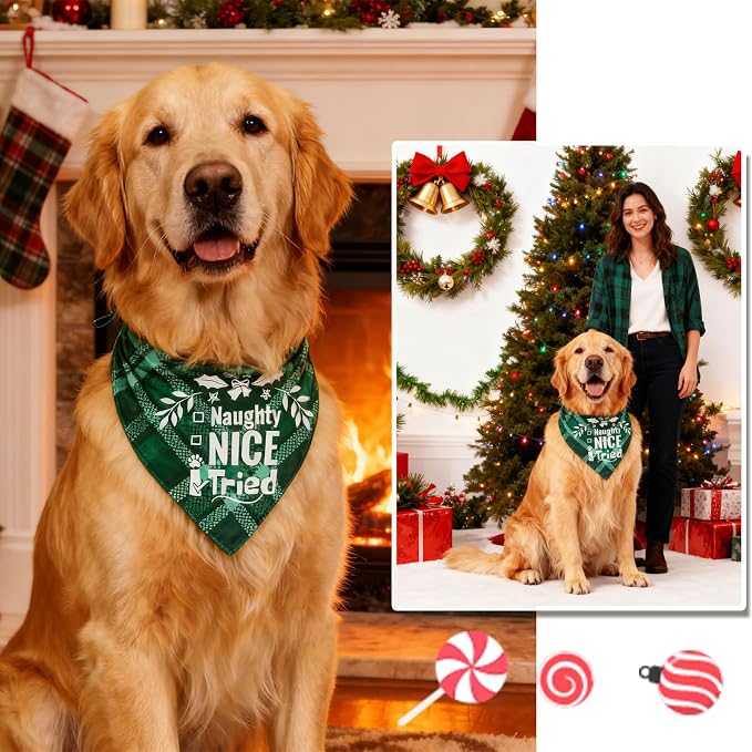 Christmas Dog Bandanas - Naughty Nice I Tried, Pets Funny Holiday Costume Gift Xmas Stocking Stuffers, Green Plaid, Small & Medium Breed, 5-25lbs