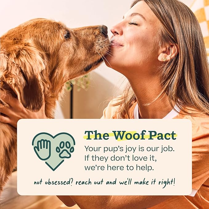 WOOF Dog Pupsicle Mix - Easy-to-Make DIY Pupsicle Refills - Tasty, Healthy Pupsicle Mix - Wholesome Ingredients - Long-Lasting Treats for Dogs - Bacon and Cheese Mix