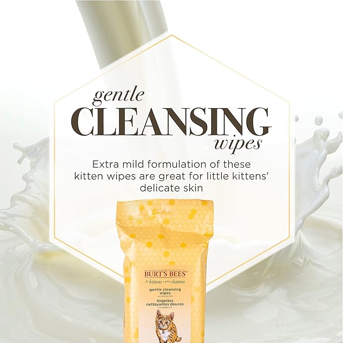 Burt's Bees for Pets Kitten Grooming Wipes with Buttermilk and Honey, Waterless Cat Bath Wipes for Face, Paws, Tail and Coat Cleaning, Gentle Bath Alternative for Indoor Felines, 50 Count - 6 Pack