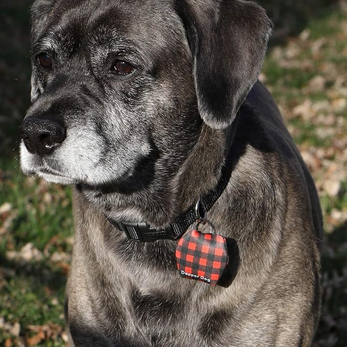 Dapper Dog - Dog Tag Silencer with Tag Ring (Red Checkered)