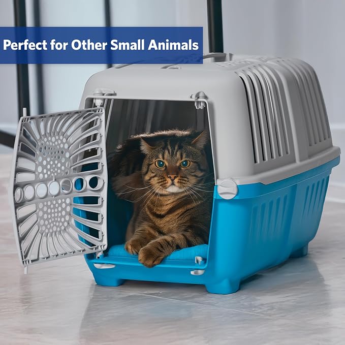 Spree by MidWest 22-Inch Travel Carrier, Blue, Fits Pets up to 12 lbs | Hard-Sided Pet Carrier, Plastic Door, Ventilated Design, Locking Tabs, Easy Assembly