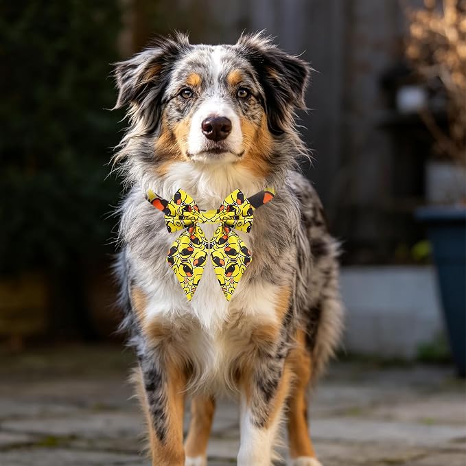 PET SHOW 10 Pack Sailor Dog Bowties Daily for Large Dogs