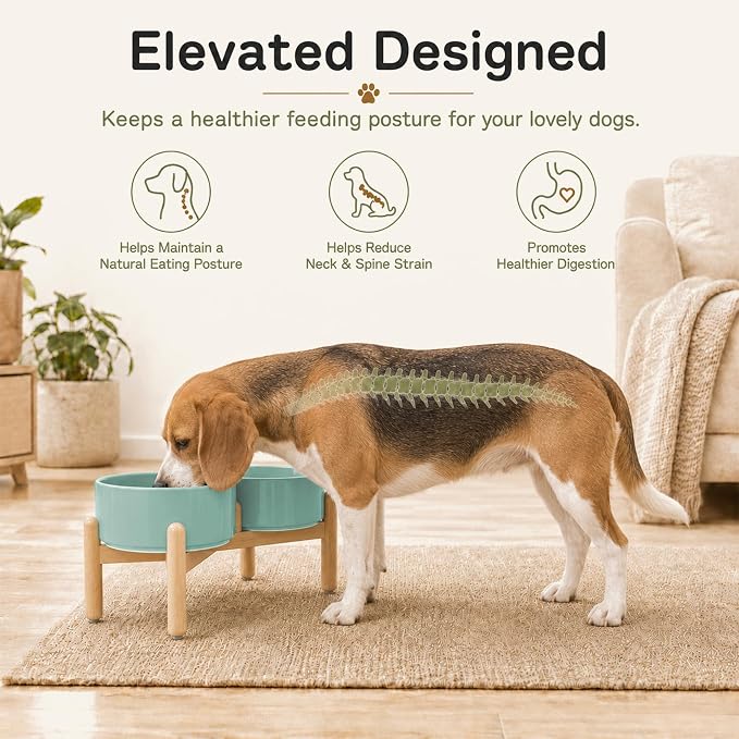 Havniva Ceramic Dog Bowls Elevated, Raised Dog Food Bowl for Medium Dogs | 7.3” Elevated Dog Bowls, Non-Slip Wood Stand, Dog Food and Water Bowl Set, Dog Feeding Dish, Large Capacity Pet Water Bowl