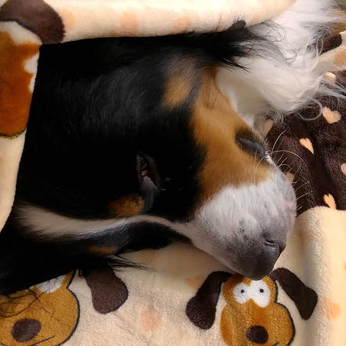 Snuggle Puppy Fleece Blanket for Dogs, Machine Washable, 48 x 30 in