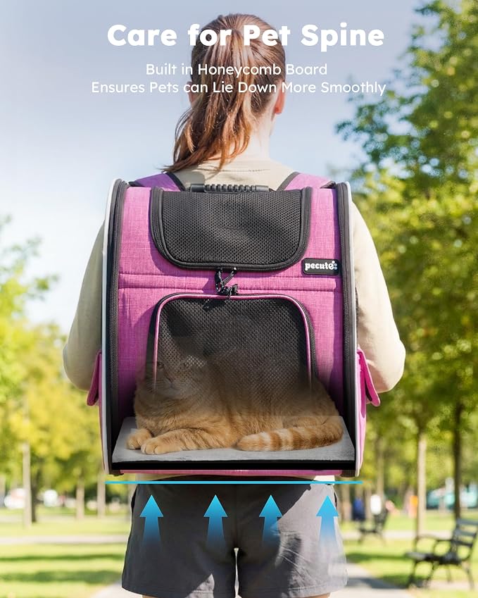 pecute Cat Backpack Extendable, Cat Carrier Backpack with Breathable Window | Durable Oxford Cloth, Lockable Zipper,Use for Pet Under 11 lbs to Travel