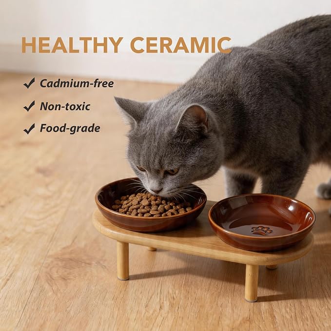 Havniva Elevated Cat Bowls, Ceramic Cat Bowl with Bamboo Stand Wide Opening | 5.7” Raised Cat Food Bowls, Whisker Friendly Cat Dish, Anti-Slip Cat Water Bowls, Shallow Cat Bowls, Cat Food & Water Bowl