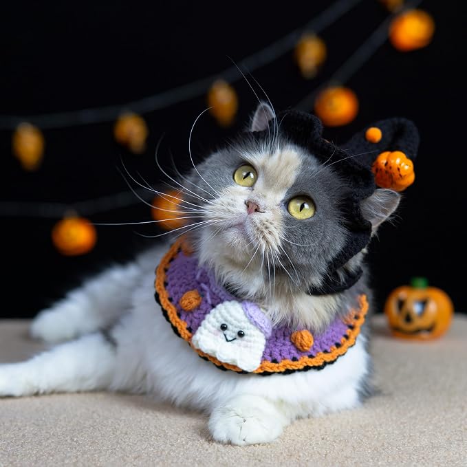 Cat Costume - Cute Ghost Bib & Pumpkin Hat for Cats and Small Sized Dogs, Festive Pet Apparel, Adjustable and Breathable Dog Witch Costume