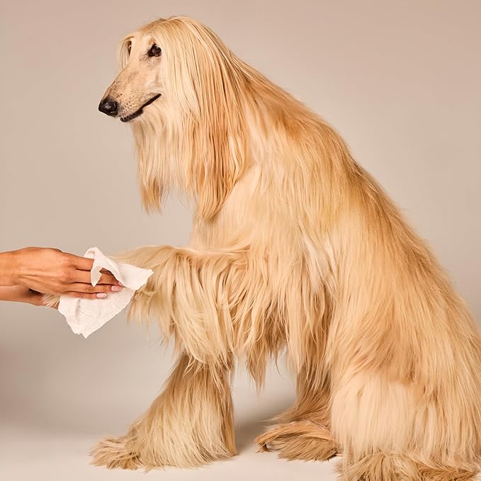 WagWell Daily Cleansing Dog Wipes, 50 Count | Vet-Approved, Helps Reduce Odor, Fragrance-Free, Microbiome-Friendly Dog Grooming Wipes | Gentle Head-to-Tail Cleaning for Paws, Coat & Skin (Avoid Eyes)