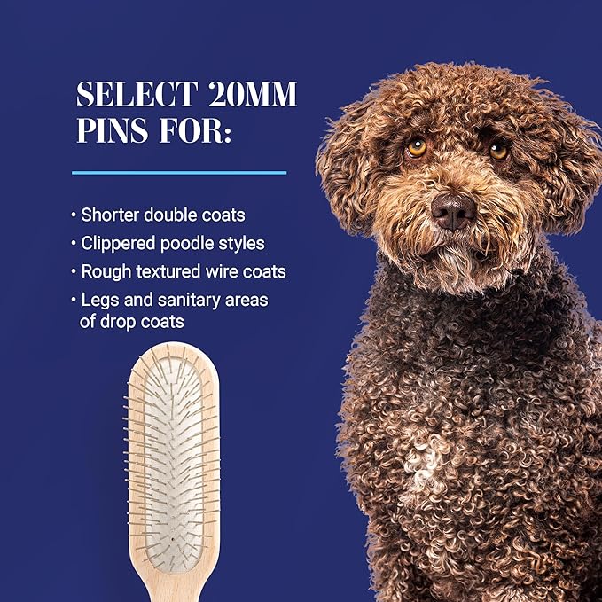 Chris Christensen 27 mm Oblong Pin Dog Brush, Original Series, Groom Like a Professional, Stainless Steel Pins, Lightweight Beech Wood Body, Ground and Polished Tips