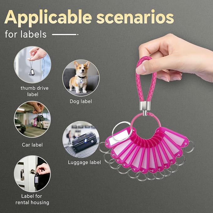 12 Pcs Plastic Key Tags with Labels and Ring Window, Single Color for Luggage, Pet ID, USB Drive (1 Color)
