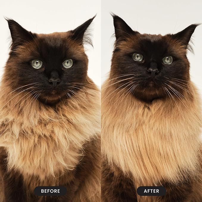 Pet Teezer by Tangle Teezer Cat Brush, De-Shedding Cat Hair Brush for a Gentle, Soothing Groom & Short to Medium Length Fur, Green