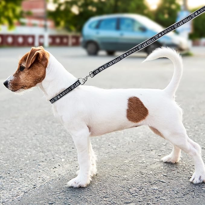 NFL PET Las Vegas Raiders Dog Leash, Small Football Team Leash for Dogs & Cats - Shiny & Colorful, Licensed by The NFL