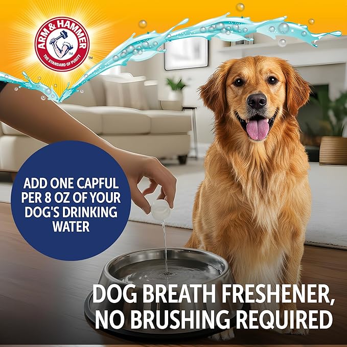 Arm & Hammer Dog Dental Water Additive Breath Freshener, Odorless Flavorless Oral Care Solution for Plaque and Tartar Control, Daily No Brush Dental Support for Dogs, 16 Fl Oz