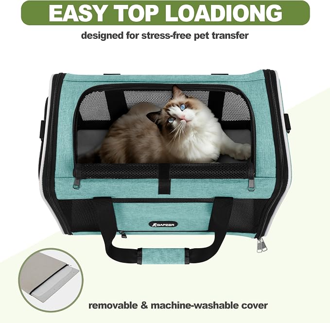 GAPZER Cat Carrier 18"x11"x11" TSA Approved Ventilated Pet Air Travel Cage | Top Open Small Animal Basic Crate, Shih Tzu Dog Softsided Durable Kennel, 4-Mesh-Side Kitty Carry on Case up to 20 lbs Teal