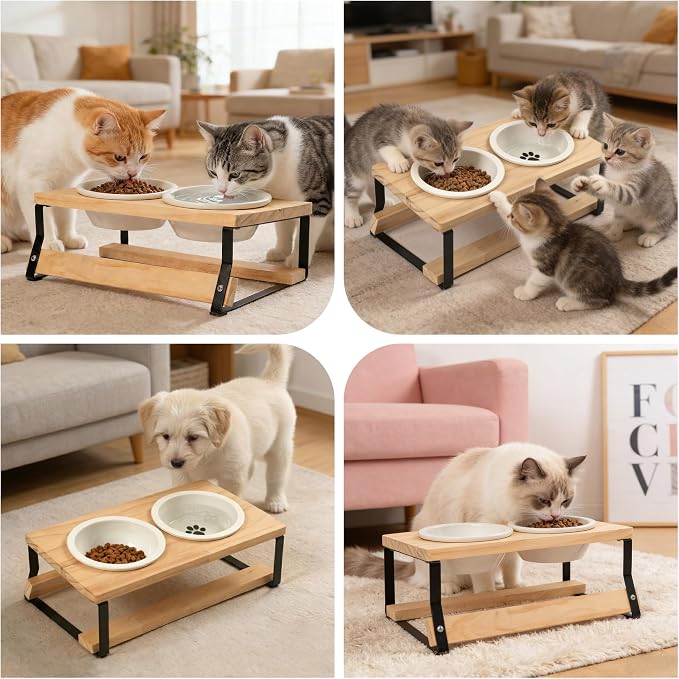 getlstub Elevated Cat Bowls with Wood Stand - Raised Cat Food and Water Bowls for Indoor Cats & Small Dogs, 15°Tilted High Ceramic Anti-Vomit Pet Feeder, Whisker Fatigue Friendly