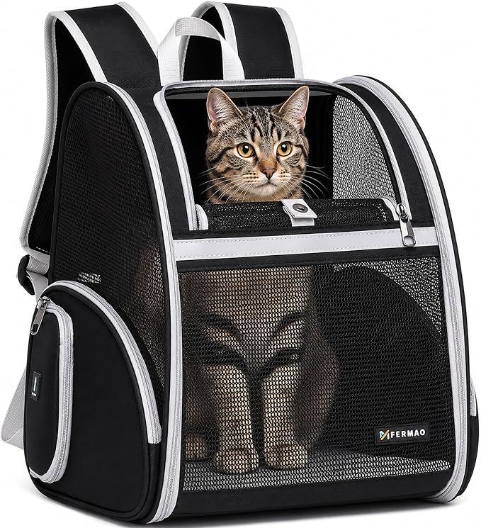 Cat Backpack Carrier for Small Dogs and Medium cat Puppy Kitten Bunny Pet Carrier Backpack Collapsible with Fully Ventilated Mesh with Safety Leash (Black, 12.9" L x 10.62" W x 15.5" H - M)