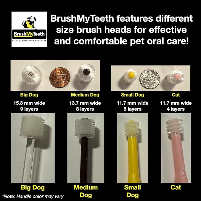 Brush My Teeth Big Dog Toothbrush, Rounded Brush Head with Soft Flexible Bristles for Safe and Gentle Brushing for Dogs, Any Large Breed or Puppy, Daily Brushing Adds Years of Healthy Life