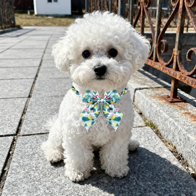 PET SHOW 10 Pack Daily Sailor Dog Bowties for Small Dogs