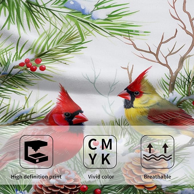 Giwawa Winter Birds Towel Set of 2 Christmas Red Birds Holly Berries Decorative Hand Towels Xmas Snow Pine Cones Soft Microfiber Face Towel Washcloth for Bathroom Guest Gym Spa Hotel Holiday