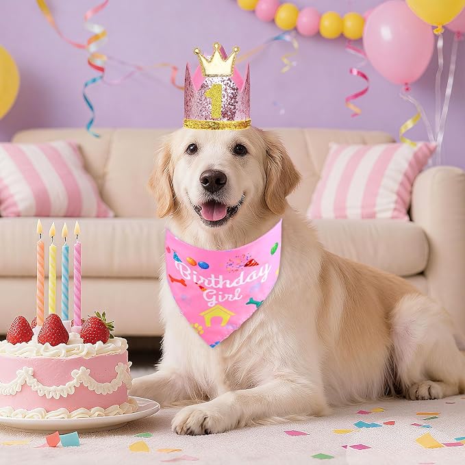 Rensh Dog Birthday Party Supplies, Dog Birthday Bandana Hat with Numbers for X-Large Large Small Pets, Multi Size Birthday Decorations for Dogs and Cats (Pink, Small)