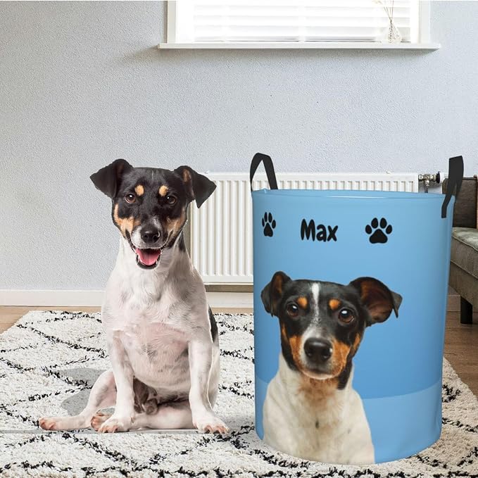 Personalized Large Dog Toy Storage Basket Bin Collapsible Custom Pet Stuff Box Chest Container for Living Room Organizer for Dog Toys,Dog Food,Blankets,Clothing (PowerBlue)