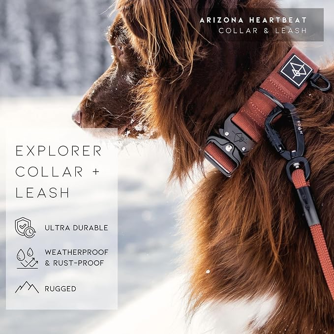 MADE TO ROAM Explorer Dog Collar | Heavy Duty Nylon & Durable Metal Buckle | Premium adjustable collar with rust-resistant hardware. Fits small to large dogs. 15 colors. Matching leash & harness