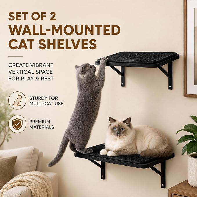 Cat Wall Shelves Set of 2, Black Solid Wood Window Perches with Sisal Mats | Removable Black Sisal Mats, Wall-Mounted Cat Furniture for Climbing, Scratching and Lounging, 16.6 x 9.7 Inch