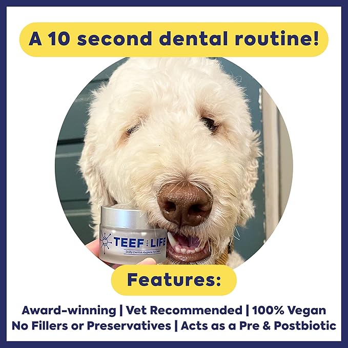 Teef For Life Protektin42 Plant-Derived Prebiotic Dental Powder for Dogs, Daily Dental Care, Clinically-Proven Formula Naturally Fights Plaque and Tartar, Dental Kit with 180 Servings