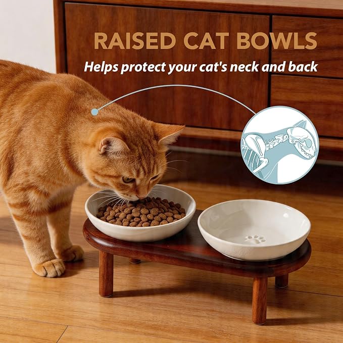 Havniva Elevated Cat Bowls, Ceramic Cat Bowl with Wood Stand, Wide Opening | 5.7” Raised Cat Food Bowls, Whisker Friendly Cat Dish, Anti-Slip Cat Water Bowls, Shallow Cat Bowls, Cat Food & Water Bowl