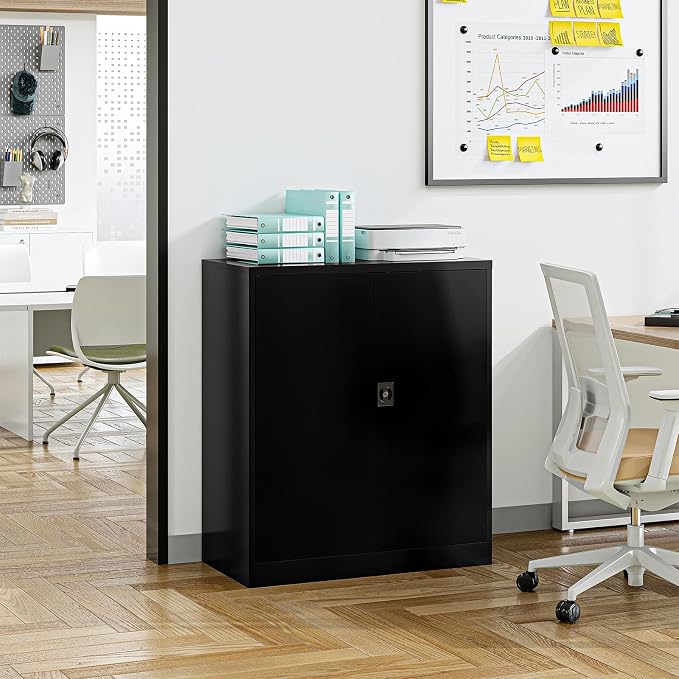 Metal Storage Cabinet, Lockable Storage Cabinet with 2 Doors and Shelves, Metal Cabinet with Lock, Small Lockable Metal Cabinet for Home Office(Black)
