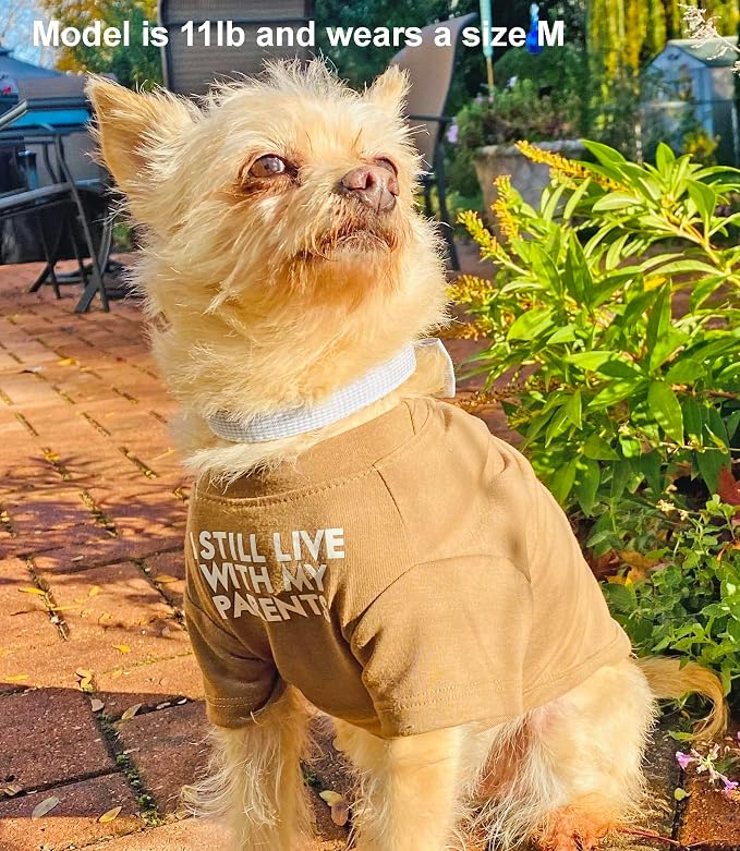 Cute Dog Clothes,Dog T Shirt for Medium Dogs, Small Dogs Girl Boy,Puppy.Breathable Soft Dog Costume Pet Dogs Cats,Pet Pullover Jumper,Cat Clothes (S-(4~8lb), Chest~14", Khaki)