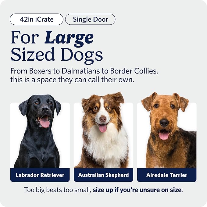 Midwest 42-Inch Single Door iCrate, for Large Breeds, 71-90 lbs
