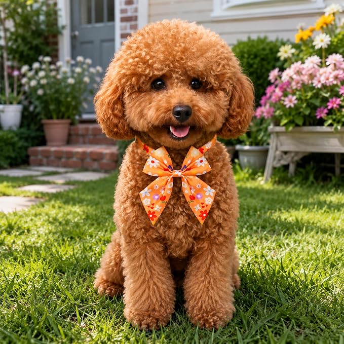 PET SHOW 10 Pack Floral Sailor Dog Bowties for Small Dogs