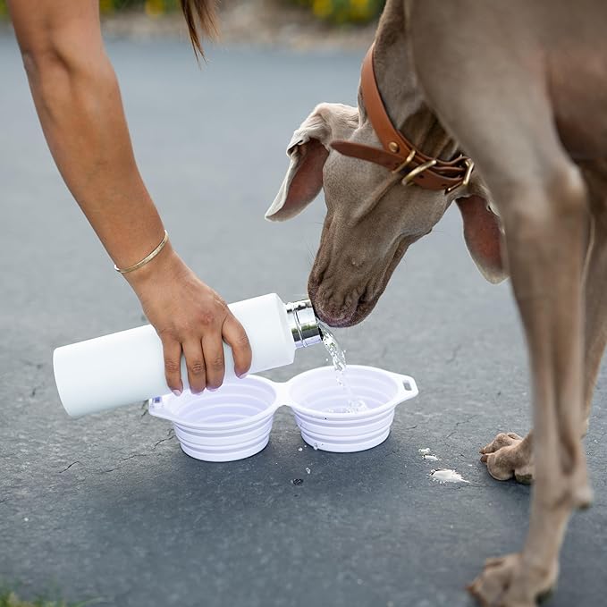 Pup Culture Dual Collapsible Dog Bowls | Silicone Travel Water Bowl for Dogs | Food Grade, No Plastic Rim, Portable Dog Bowl for Food and Water - Easy to Clean | BPA Free and Safe for Your Pup-Tan