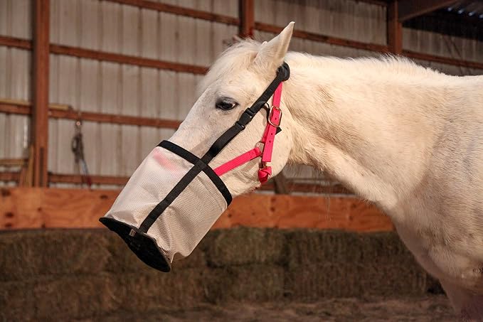 Majestic Ally Horse Feed Bag, Heavy Duty Nylon Mesh Grain Feed Bag, Adjustable Strap with Durable Snap and Elastic Straps, Comfort Neck Pad and Nose Pad- Large (Cob, Dark Gray)