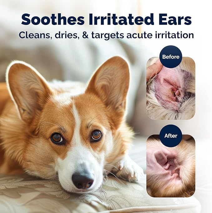 Vetnique Oticbliss Cat & Dog Ear Wipes - Dog Ear Infection Wipes or Dog Ear Cleaner Wipes for Dirty, Waxy, Smelly Ears, Odor Control with Aloe Vera & Salicylic Acid (Medicated Ear Wipes (50ct))