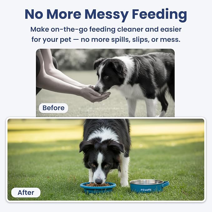 PawsPik 2-in-1 Travel Dog & Cat Bowl – Collapsible BPA-Free Silicone | 18/8 Stainless Steel, Portable & Non-Slip with Handle, Easy to Clean, Food & Water Bowl for On-the-Go Pets